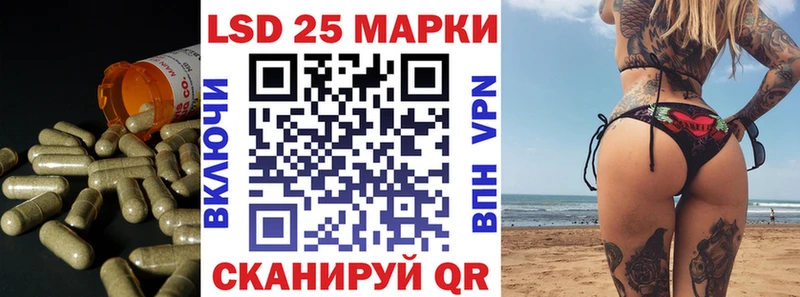 LSD-25 экстази кислота  Купить закладки  Пустошка 
